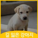 철원동물병원 이미지