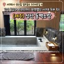 소랑in제주 | [공지] 제주 서귀포 감성숙소 동백소랑 자쿠지 독채숙소 후기