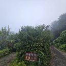 내검농장 이미지