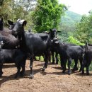 누리농장 이미지