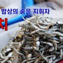 멸치와 머슴 바울(롬16:1-2) - 평신도주일 설교 이미지