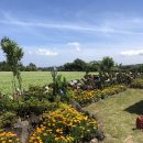 조이하우스 이미지