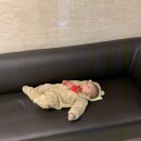 삼성웰치과의원 이미지