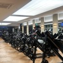 스포데이 휘트니스 두정점 이미지