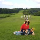 (주)예투어 이미지