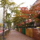 신곡초등학교 이미지