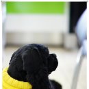 빠리안경원 이미지