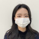 비비드아트