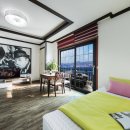 애견풀하우스 이미지