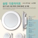 (주)남영전구