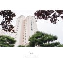 쉐프스스토리 | 화성 라비돌호텔 세쌍둥이 돌잔치 돌스냅 후기 | 동탄돌스냅 (7월 초, 점심타임)