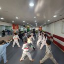 용인대 효 태권도장 이미지