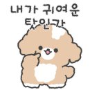 무브펫 이미지