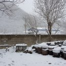 원지농원 이미지