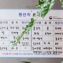팔공산명품소고기가마솥국밥 이미지