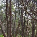 바다숨소리 이미지