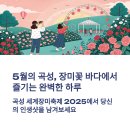 꽃물 공원 | 곡성 세계장미축제 완전정복! 일정부터 인생샷 명소까지 한눈에