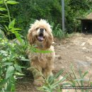 심성 농장 이미지