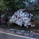 갈말읍행정복지센터 이미지