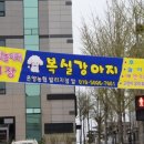 남창애견샵 복실강아지 이미지