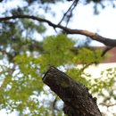 레드하우스 이미지