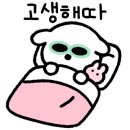 해리애견 이미지