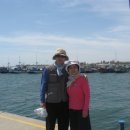 황소네집 이미지