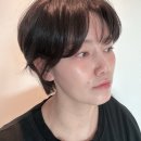 아쿠아동물병원 | 일산 식사동 미용실 동국대병원 살롱드결 AI스마트 진단 염색 후기