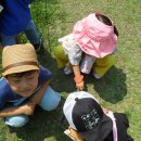 프란치스카유치원 이미지