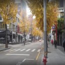 압구정로12길(가로수길) 네이버블로그