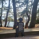거제저도유람선