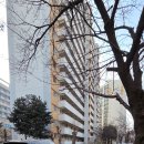 노원-상계-2080 이미지