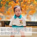 펭귄팜 | 돌아기와 방문한 아쿠아플라넷 일산 방문 후기(이용 꿀팁!!)