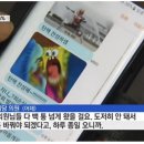 박그네 탄핵 때 새누리당이 받은 문자 이미지