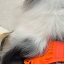 웨그앤코 이미지