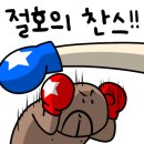 다이나복싱체육관 이미지