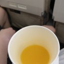 제주동중학교 (화북남문방면) | 제주 한달살기 첫날, 아시아나 연착, 월정리 숙소 체크인