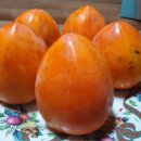 상덕농장 이미지