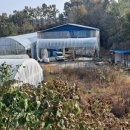 민원농장 이미지