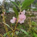 성자골3 이미지