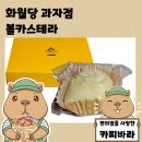 남내동 | 100년 역사의 순천 과자점 화월당 볼카스테라 솔직 후기