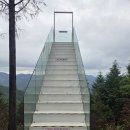 편백자연휴양림 이미지