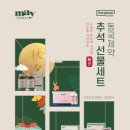 메이올웨이즈 이미지