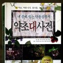 청산약초