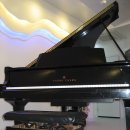 옥정줄리어드음악학원 이미지