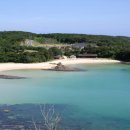 신부산약국 이미지