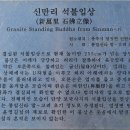 충주 신만리 석조여래입상 이미지