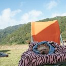 다빈이네 이미지