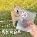 머슬독 | 양주 옥정 강아지간식 기호성 좋은 수제간식ㅣ머슬독