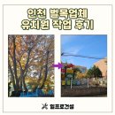 동원유치원 | 인천 벌목업체 유치원 작업 후기